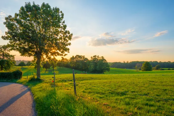 Landschap 2 Een gloeiend landschap bij zonsondergang